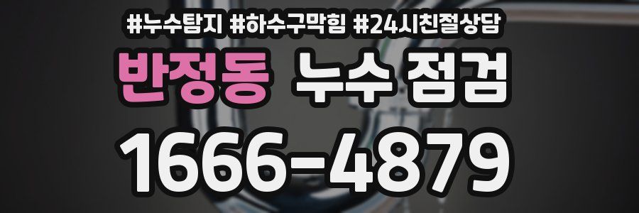 반정동 누수 점검