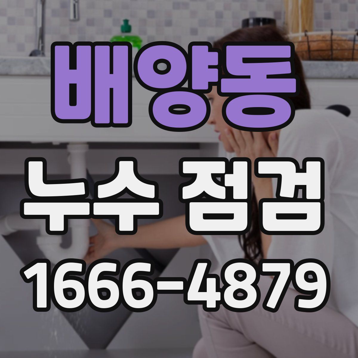 배양동 누수 점검