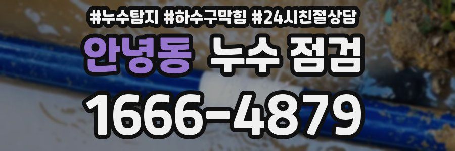 안녕동 누수 점검