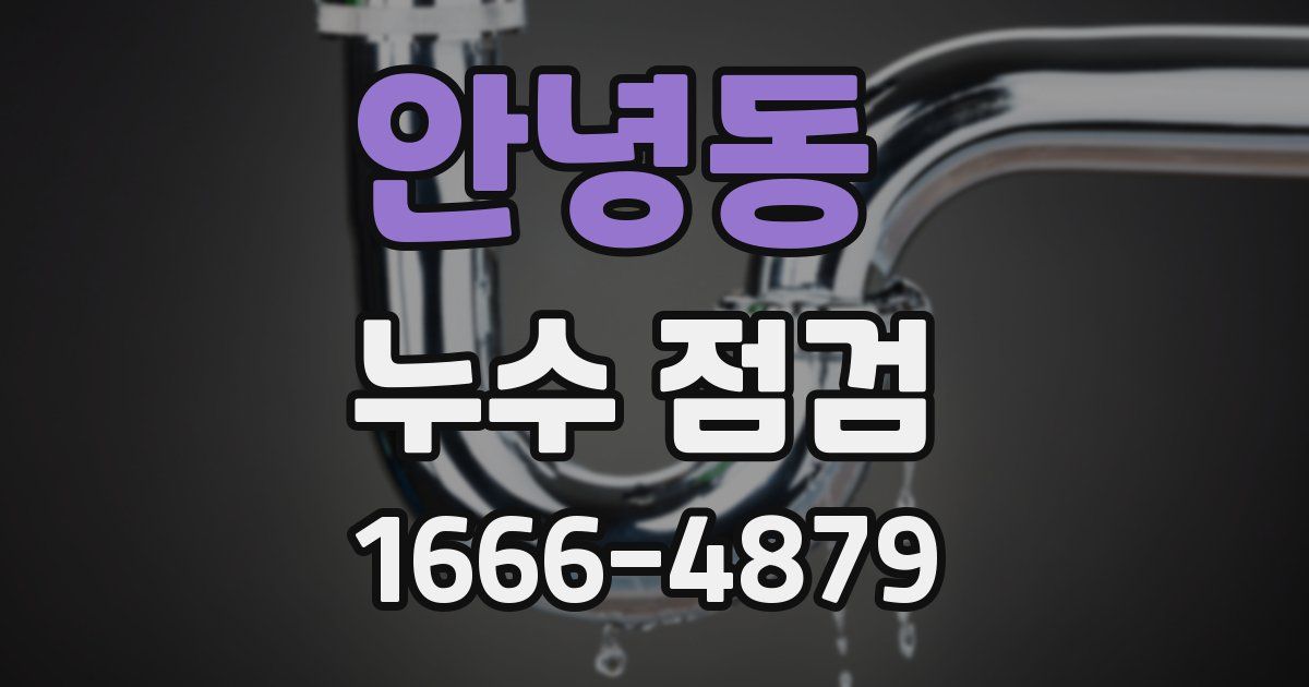 안녕동 누수 점검