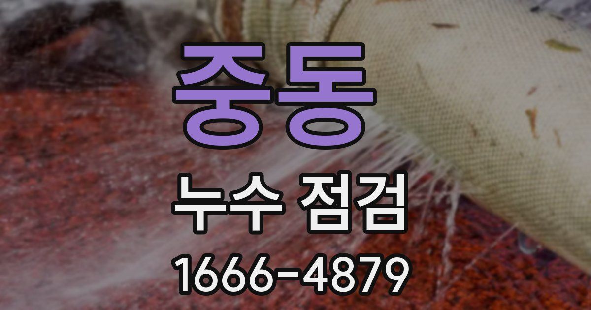 중동 누수 점검