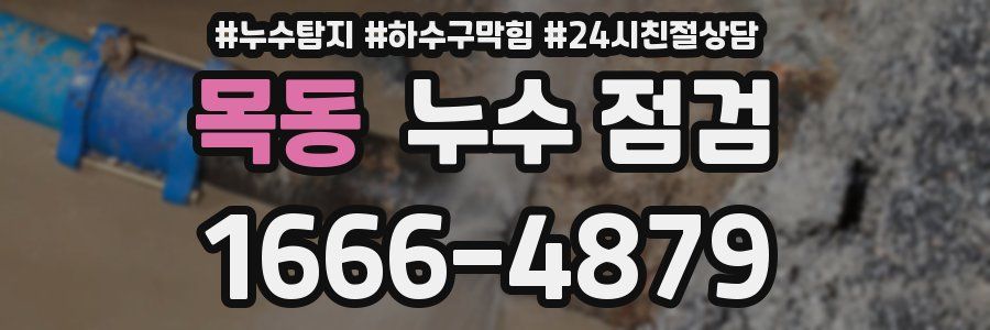 목동 누수 점검