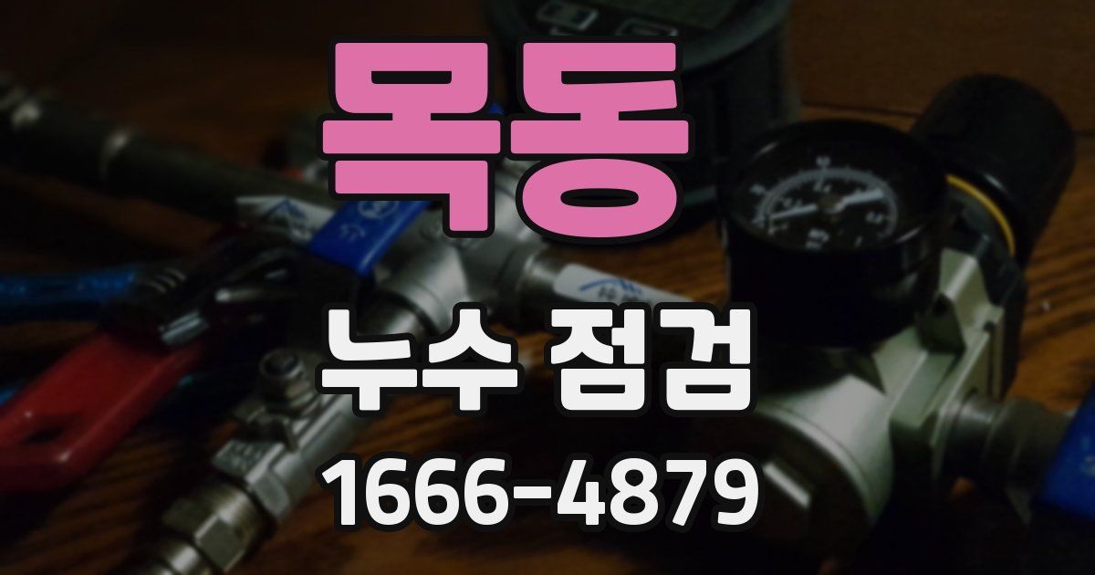 목동 누수 점검