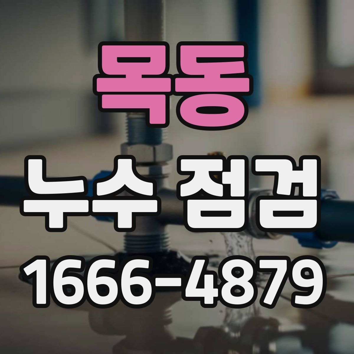 목동 누수 점검