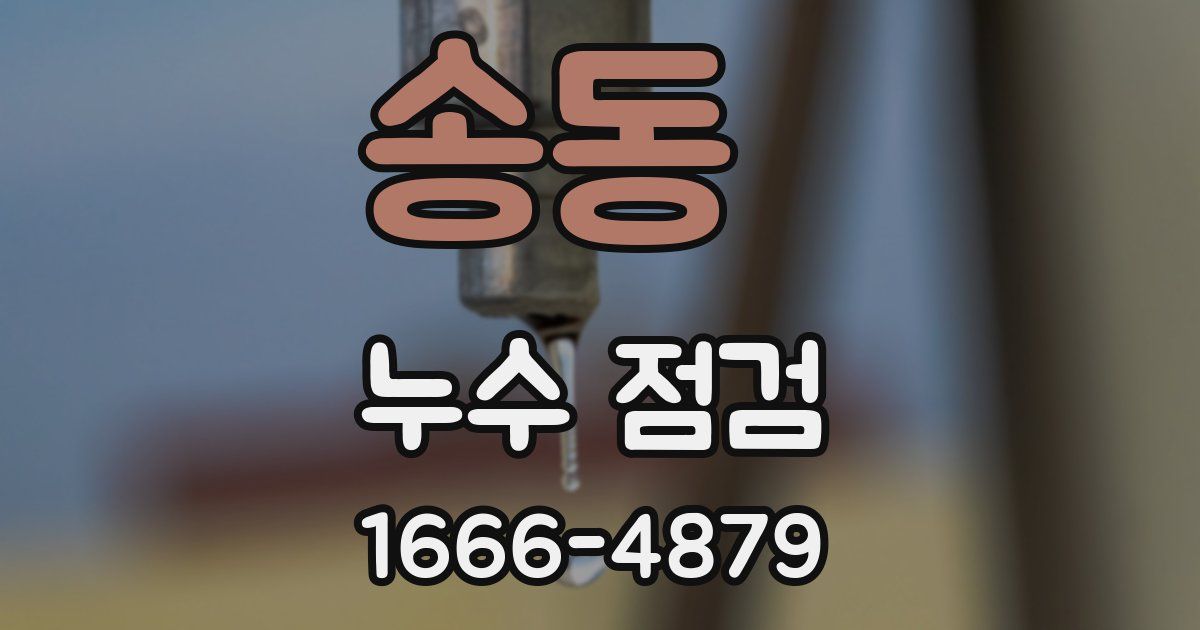 송동 누수 점검