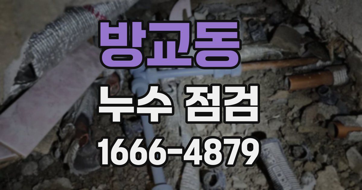 방교동 누수 점검