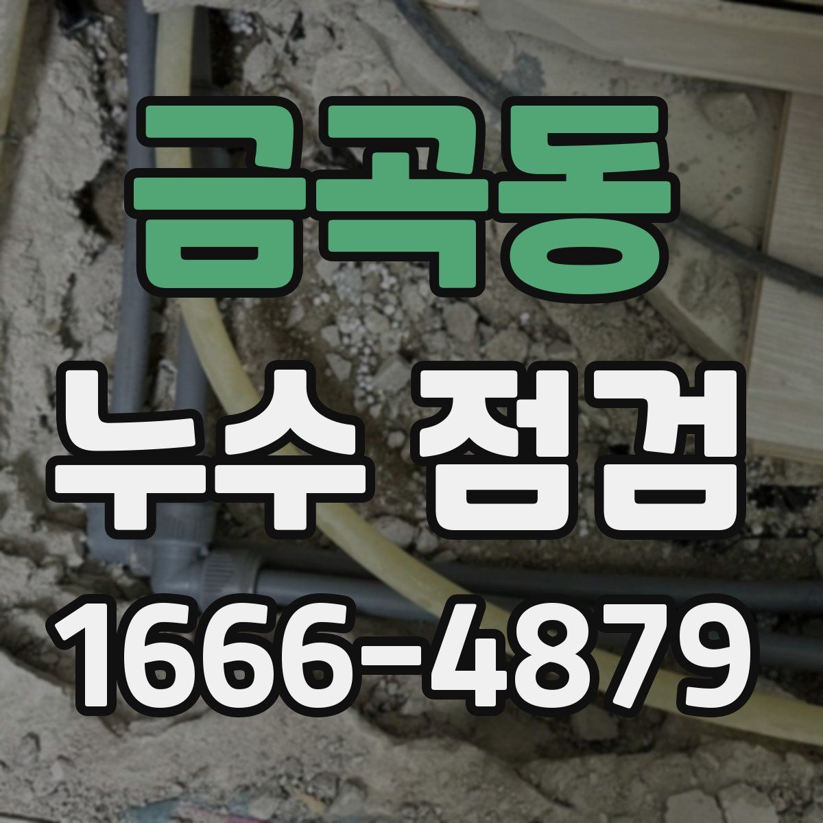 금곡동 누수 점검