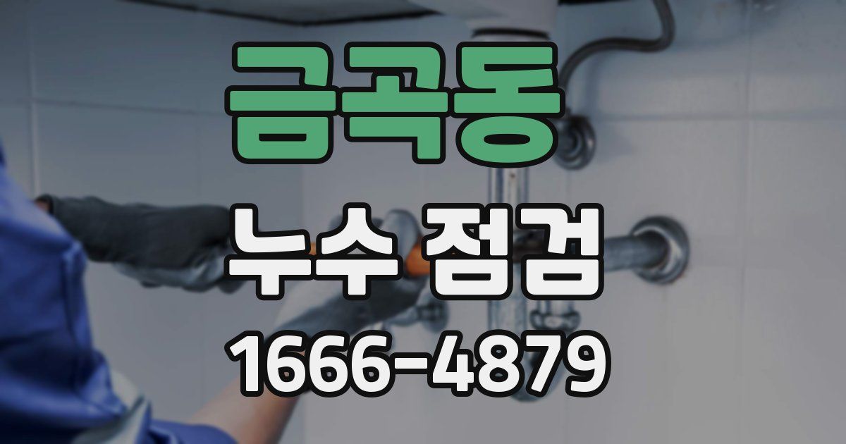 금곡동 누수 점검