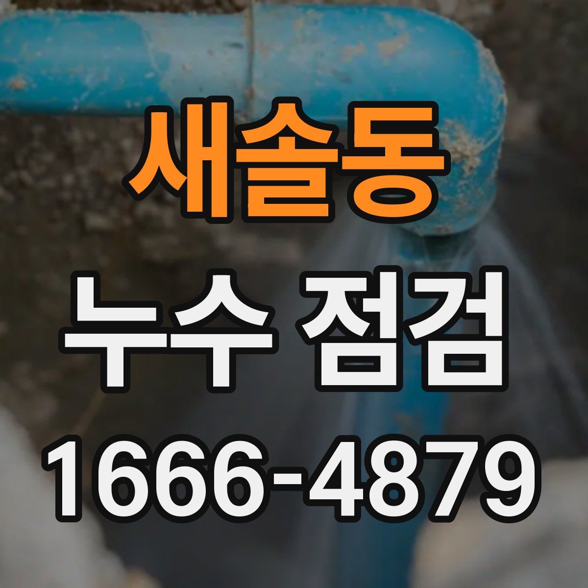 새솔동 누수 점검