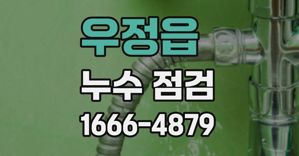 우정읍 누수 점검