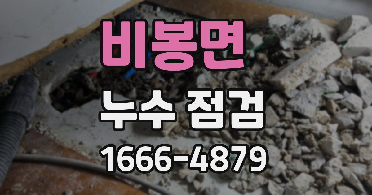 비봉면 누수 점검