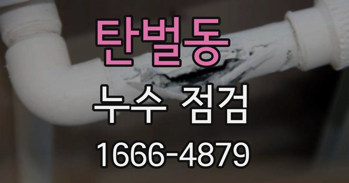탄벌동 누수 점검