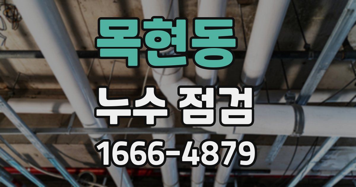 목현동 누수 점검