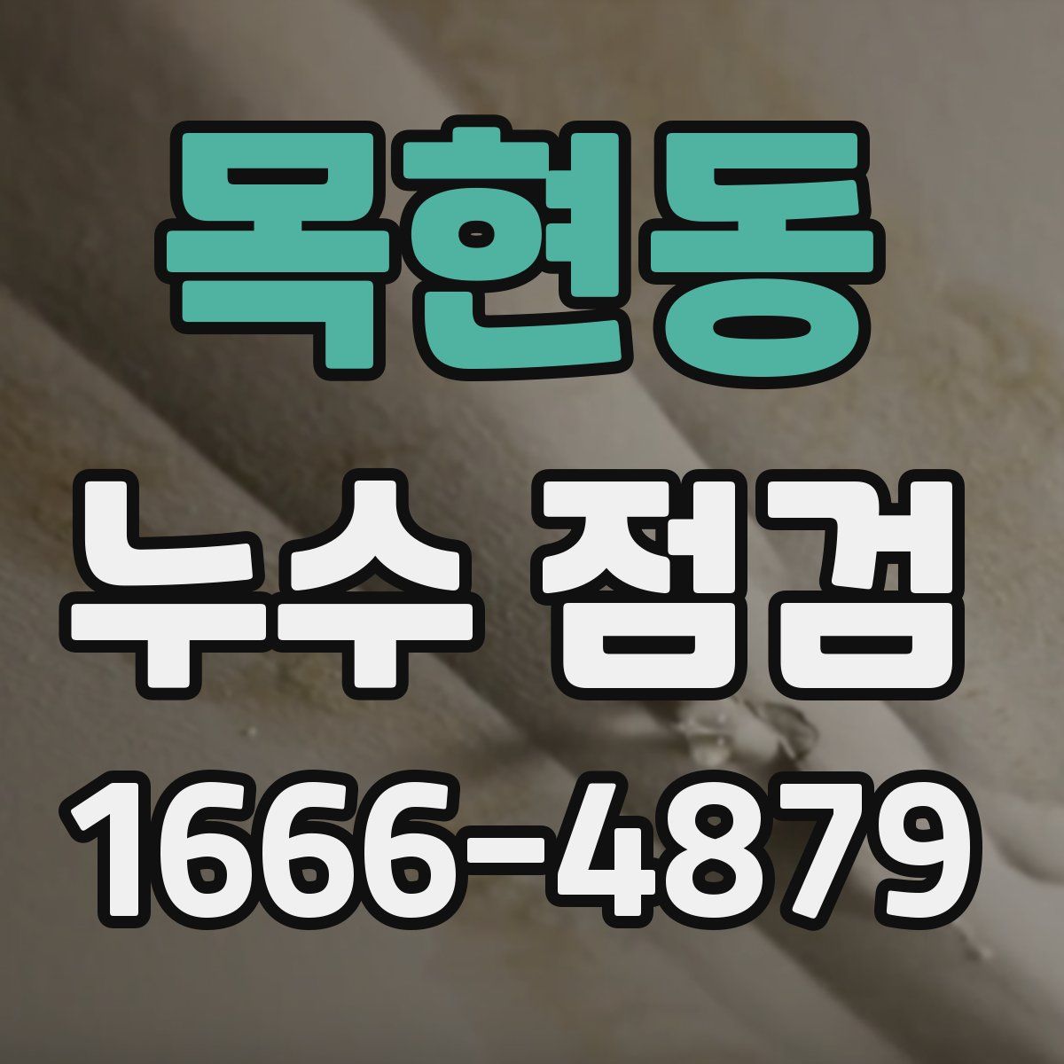 목현동 누수 점검