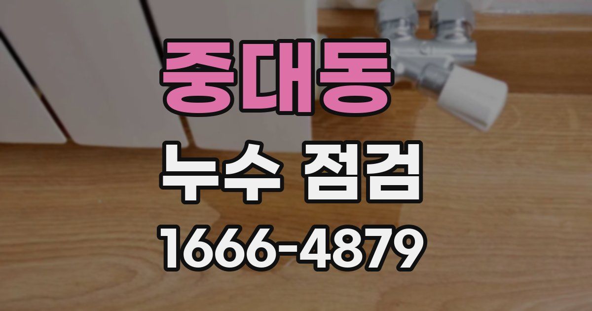 중대동 누수 점검