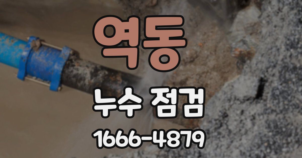 역동 누수 점검