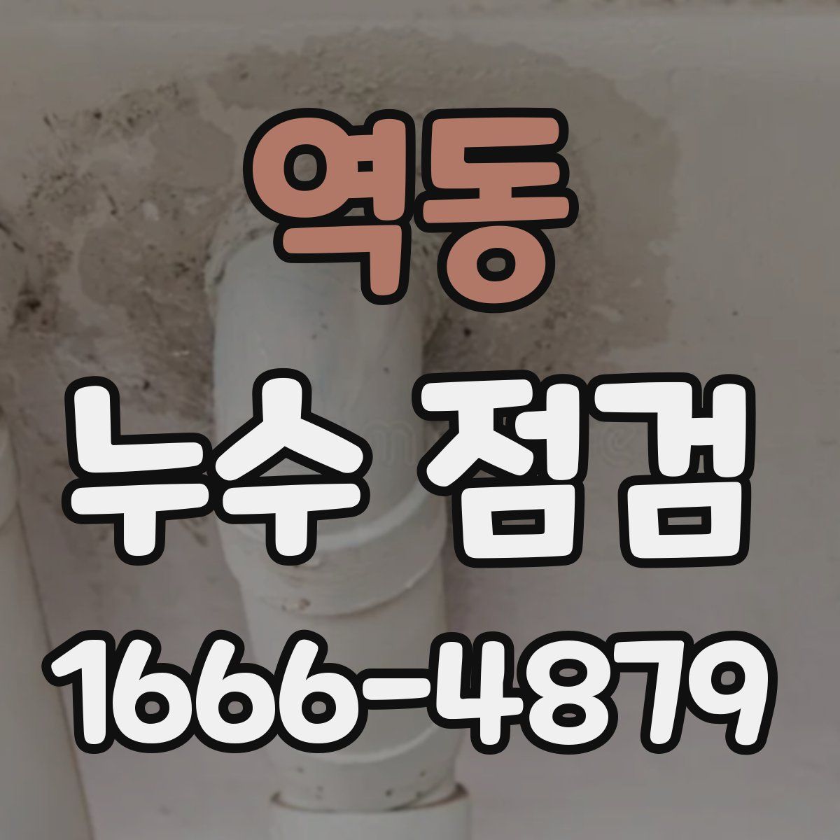 역동 누수 점검