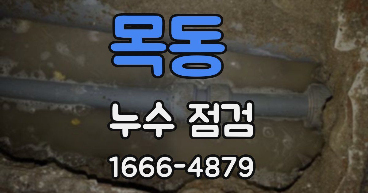 목동 누수 점검