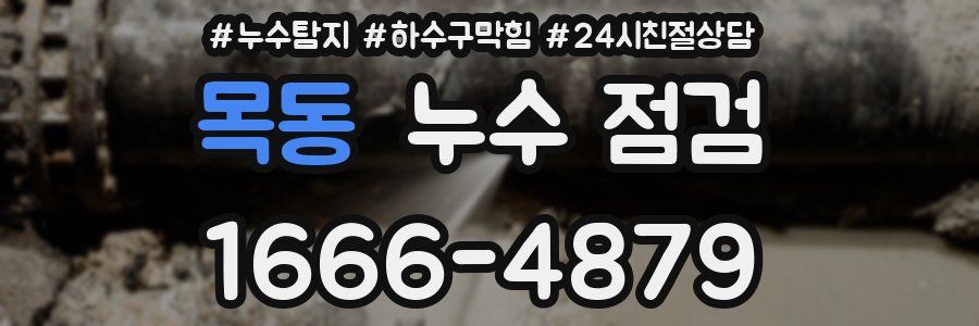 목동 누수 점검