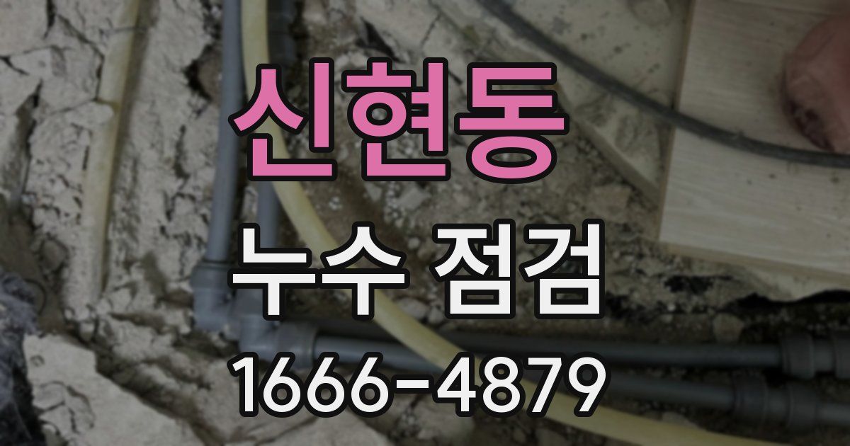 신현동 누수 점검
