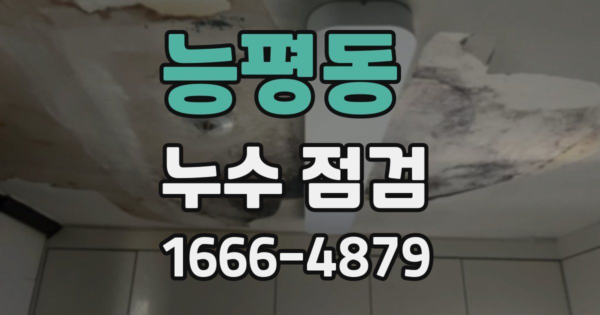 능평동 누수 점검