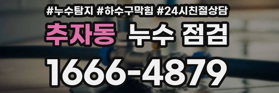 추자동 누수 점검