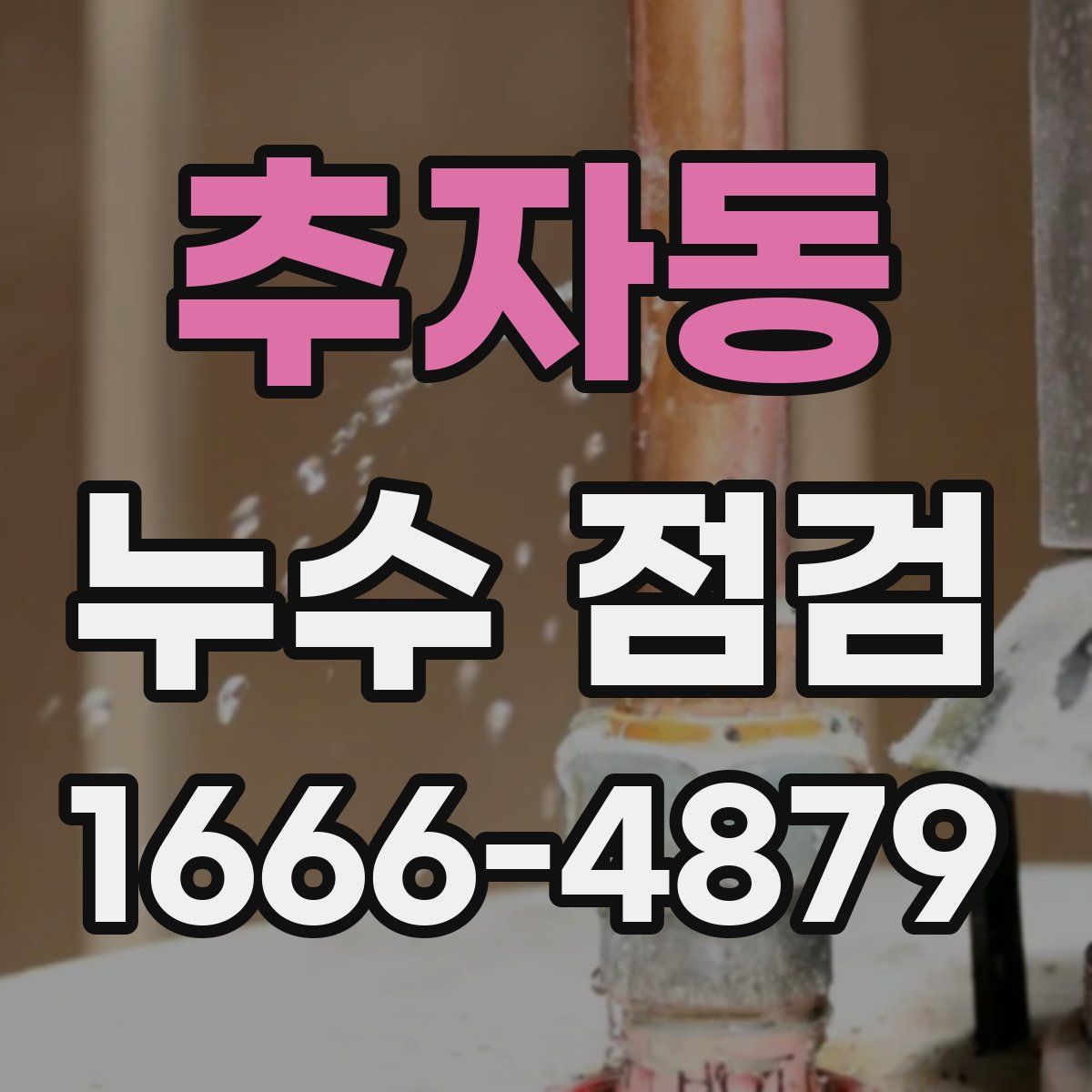 추자동 누수 점검