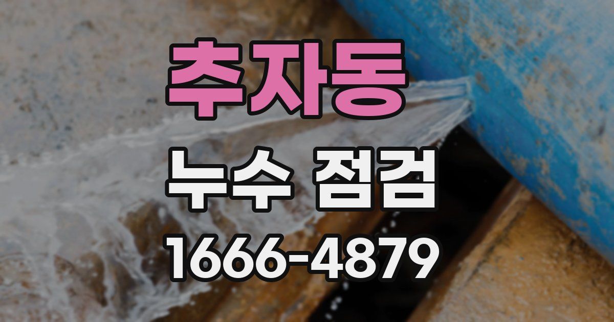 추자동 누수 점검