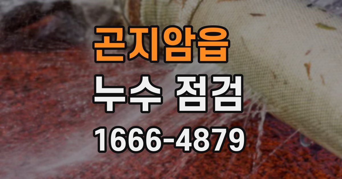 곤지암읍 누수 점검