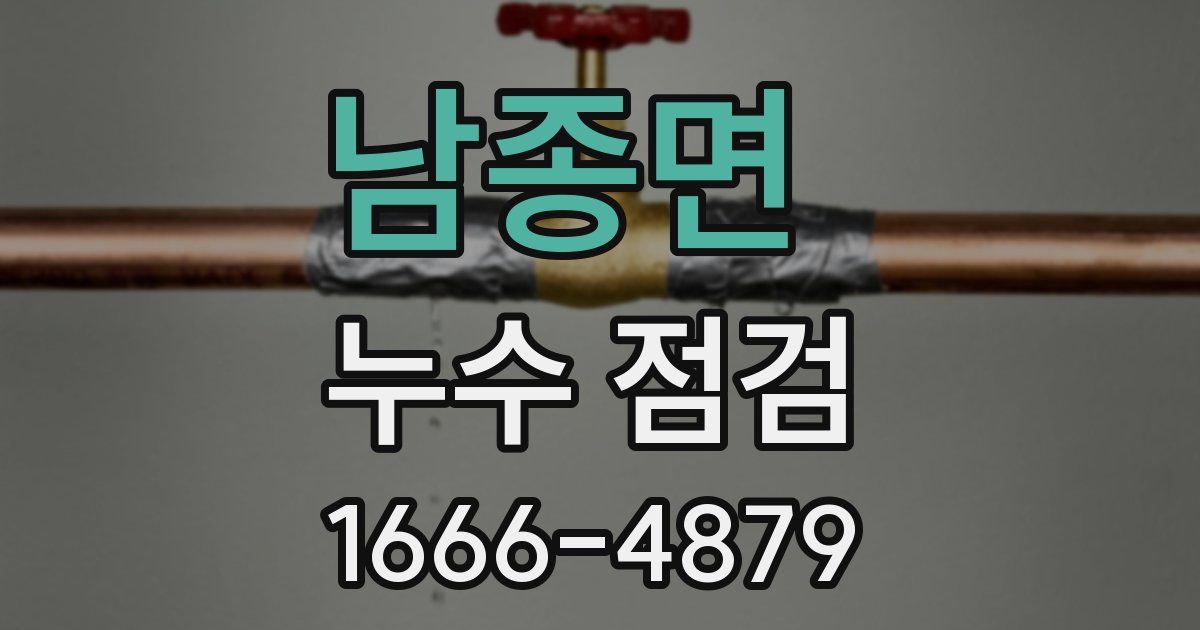 남종면 누수 점검