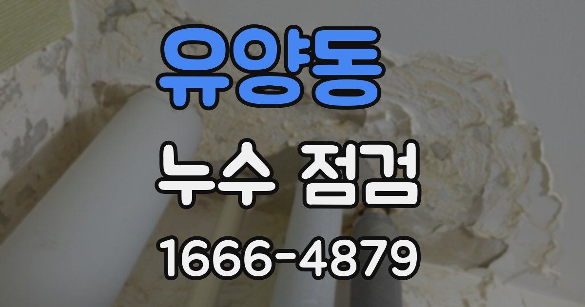 유양동 누수 점검