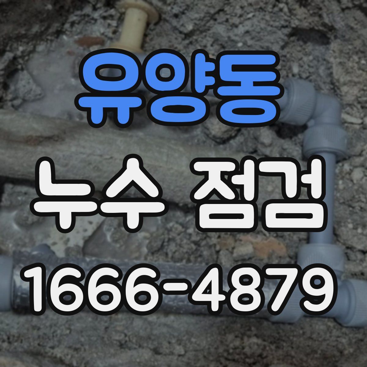 유양동 누수 점검