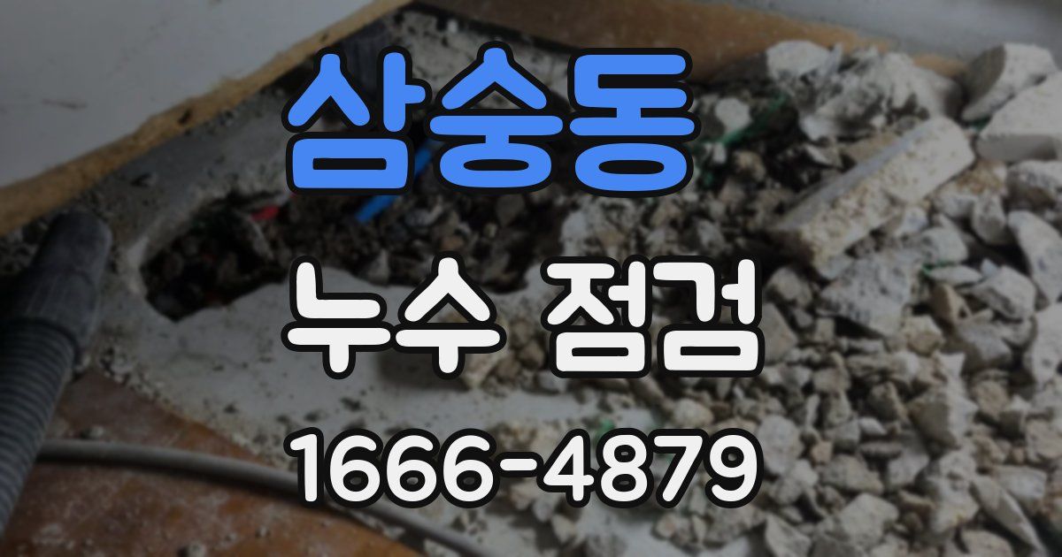 삼숭동 누수 점검