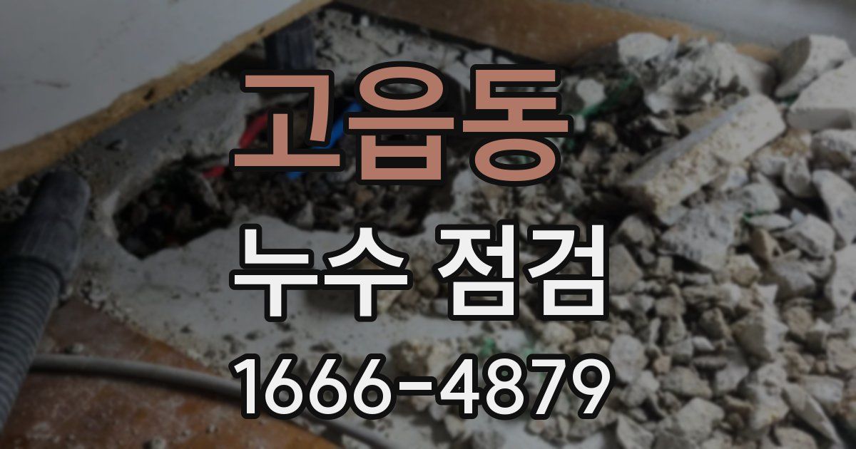고읍동 누수 점검