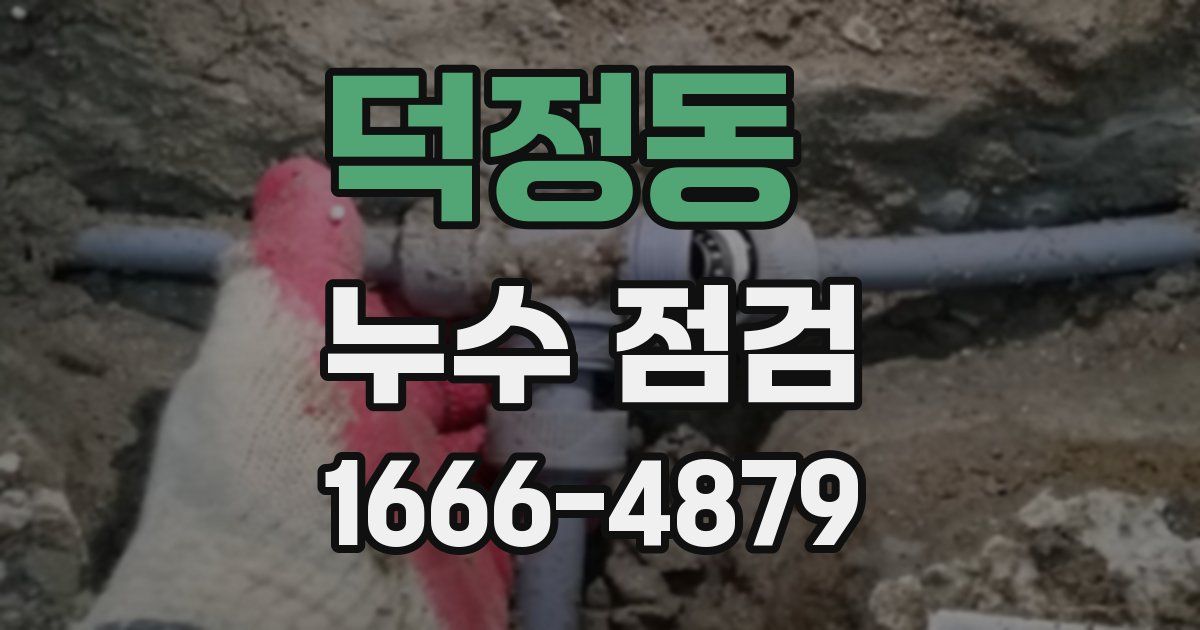 덕정동 누수 점검