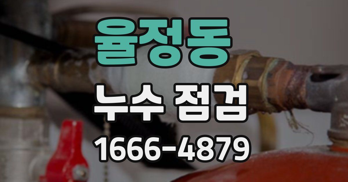 율정동 누수 점검