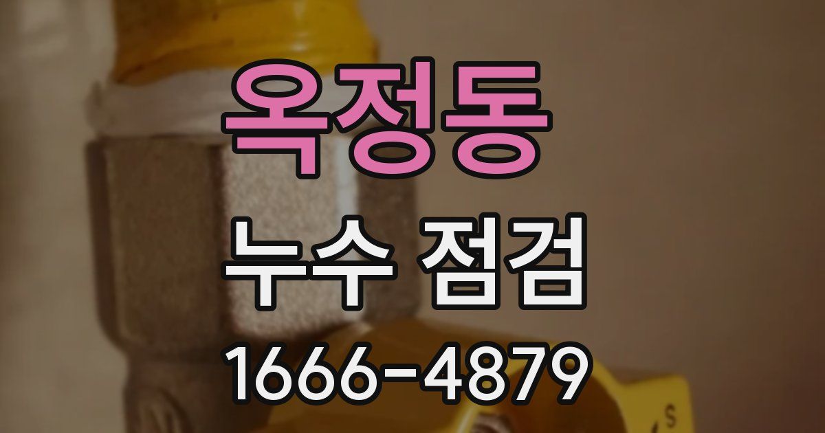 옥정동 누수 점검