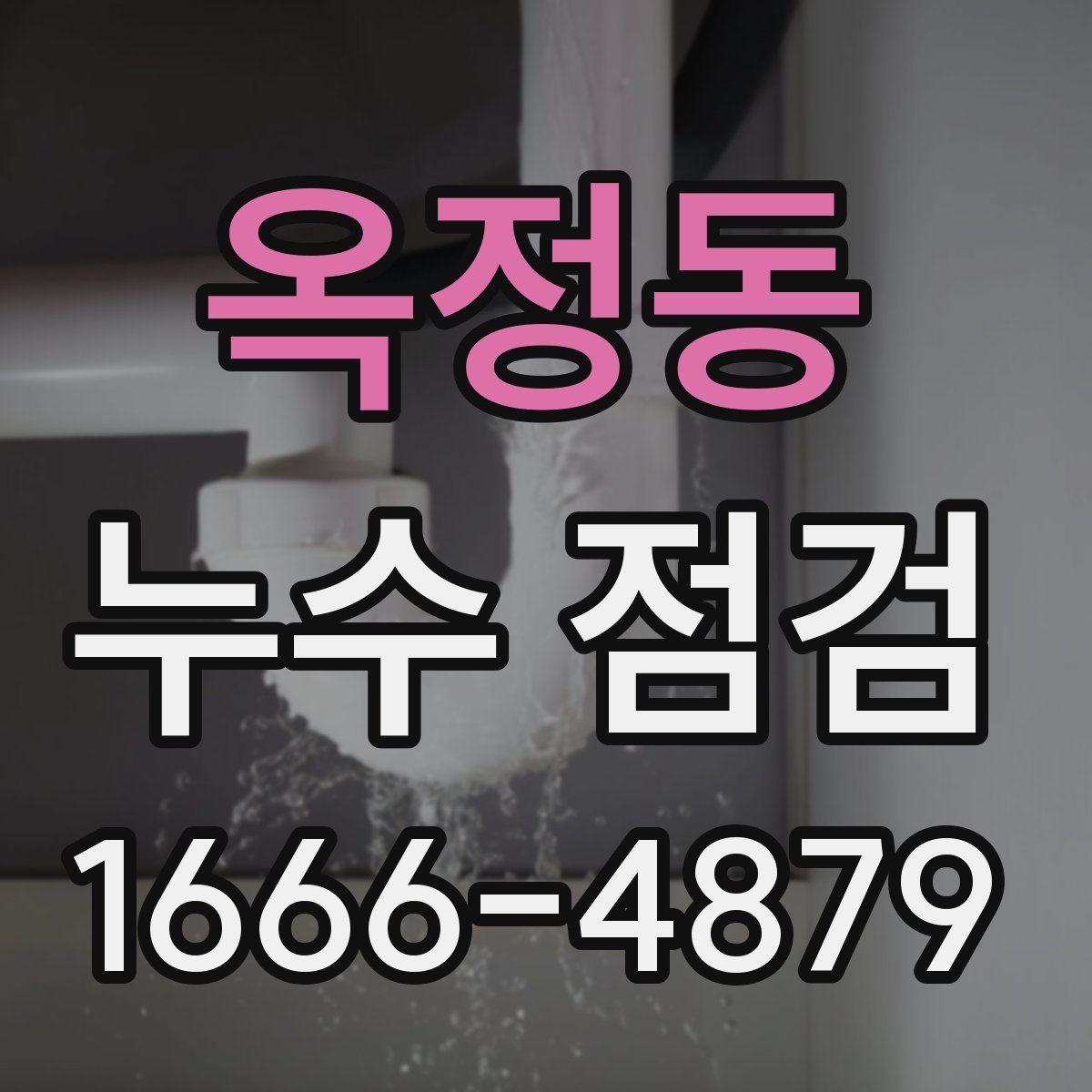옥정동 누수 점검