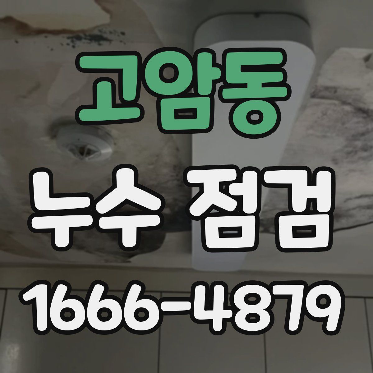 고암동 누수 점검