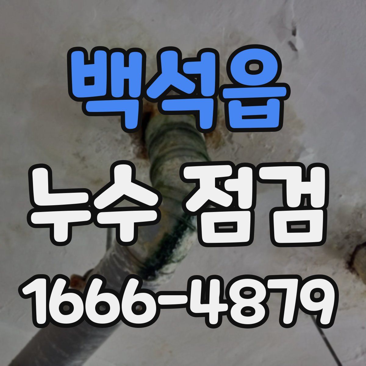 백석읍 누수 점검