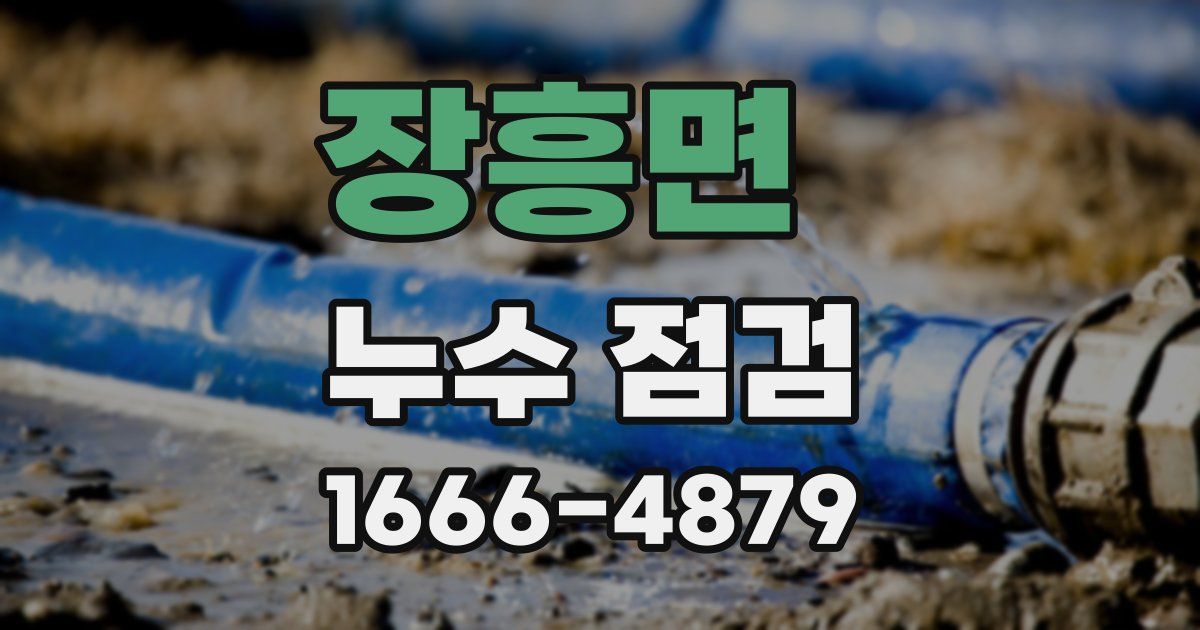 장흥면 누수 점검