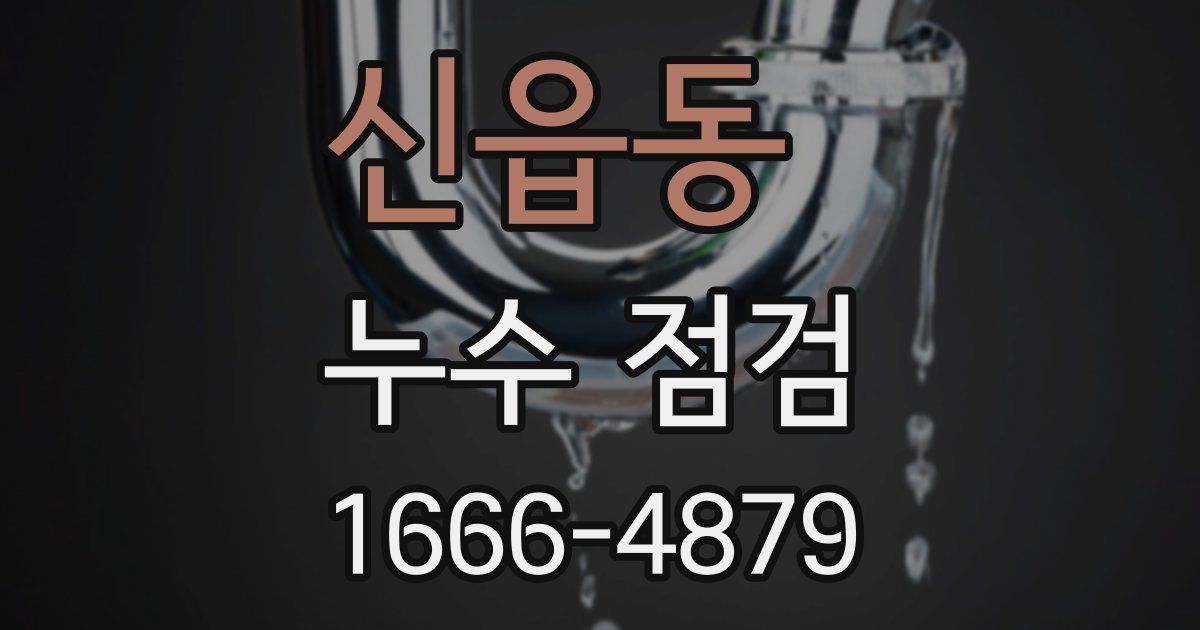 신읍동 누수 점검