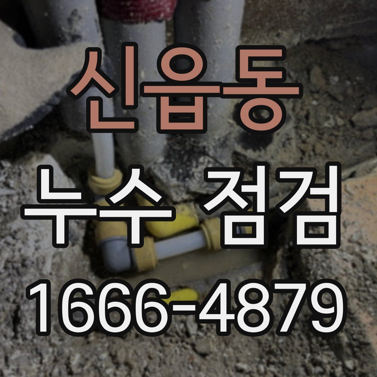 신읍동 누수 점검