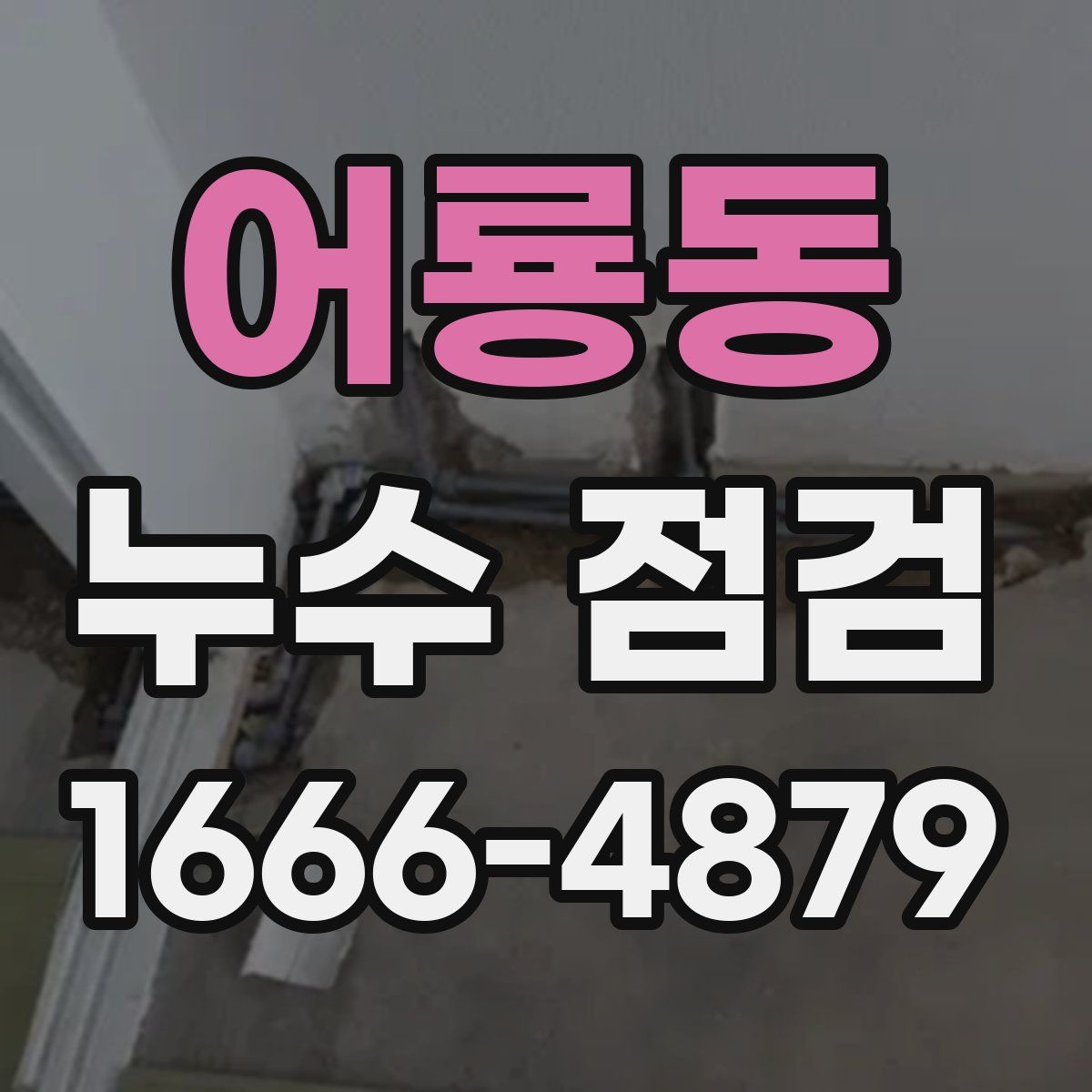 어룡동 누수 점검