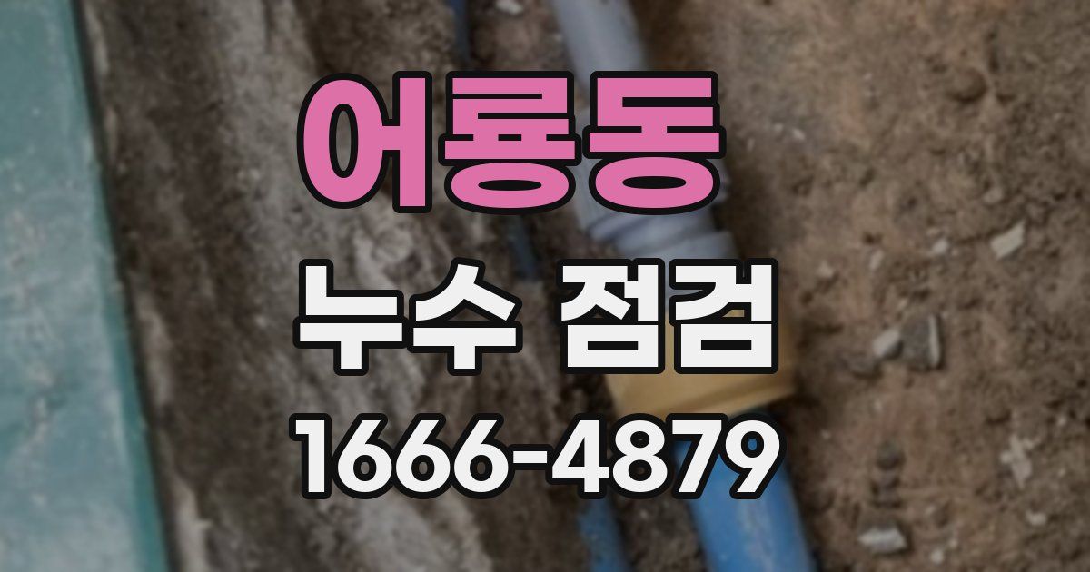 어룡동 누수 점검