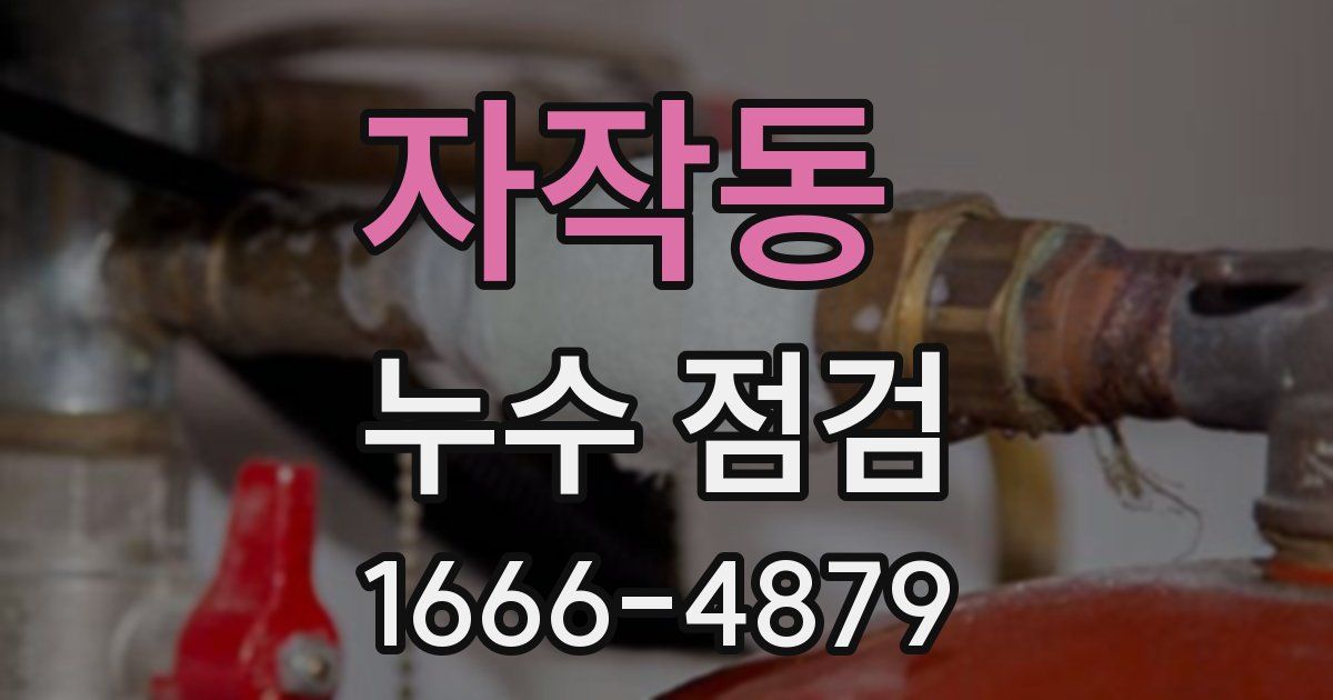 자작동 누수 점검