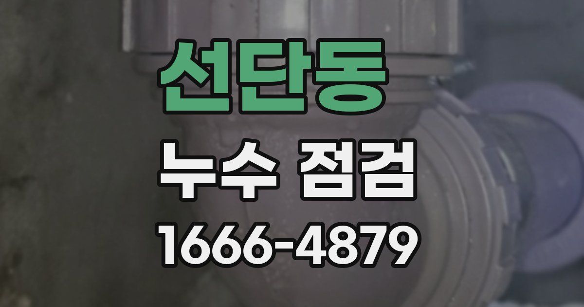 선단동 누수 점검
