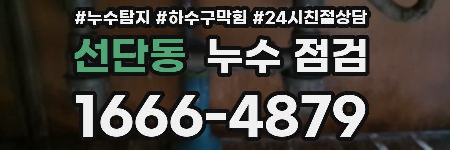 선단동 누수 점검