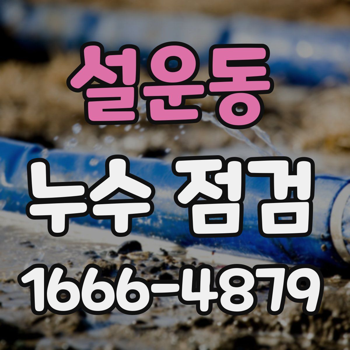 설운동 누수 점검
