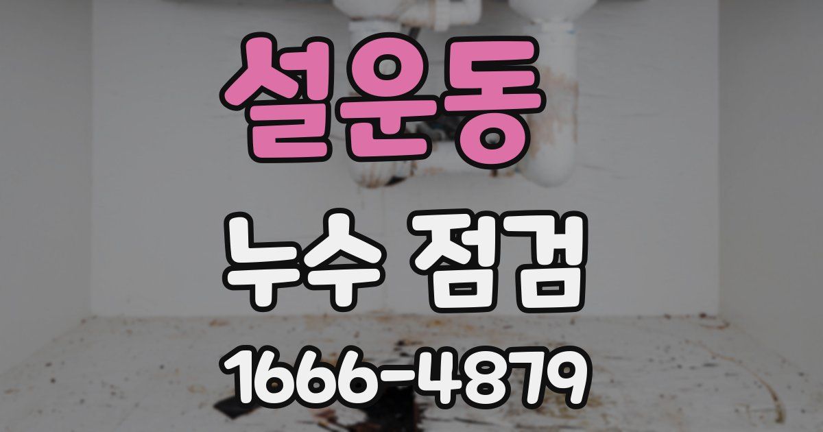 설운동 누수 점검